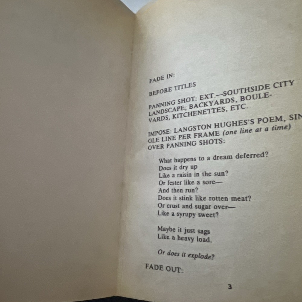 A Raisin in the Sun: The Unfilmed Original‎ Screenplay (1994, Paperback) - Picture 5 of 5